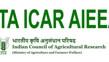 ICAR AIEEA 2025 Admit Card Released at exams.nta.ac.in/ICAR/, Download Hall Ticket