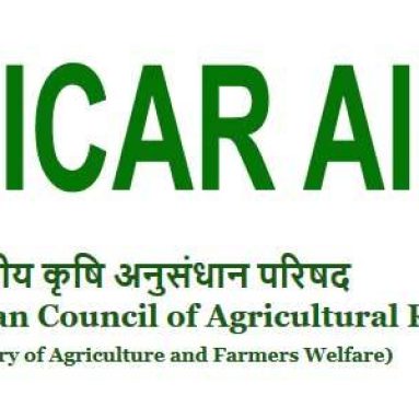 ICAR AIEEA 2025 Admit Card Released at exams.nta.ac.in/ICAR/, Download Hall Ticket