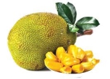 Which Country is the Largest Producer of Jackfruit in the World?
