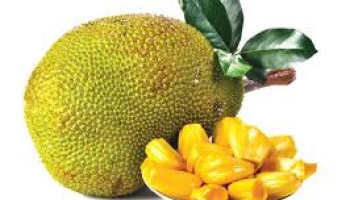 Which Country is the Largest Producer of Jackfruit in the World?